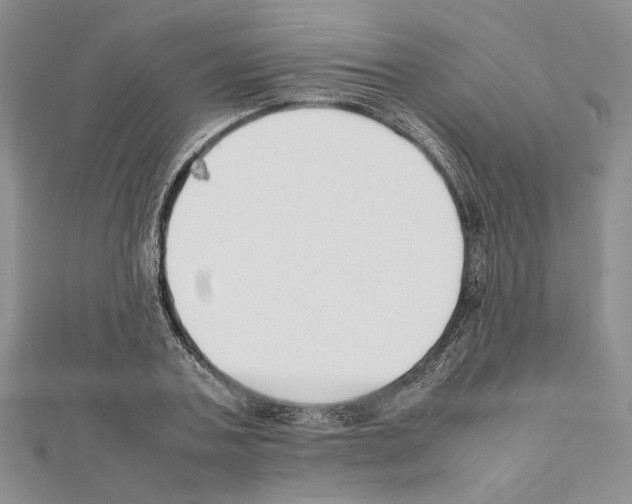 X0000111630787200908281133