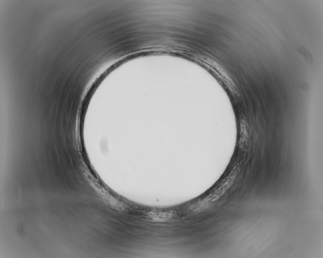 X0000111630788200908281133