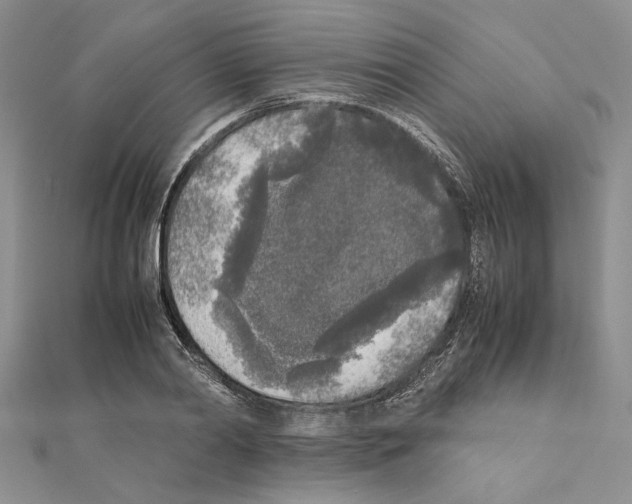X0000111630790200908281133