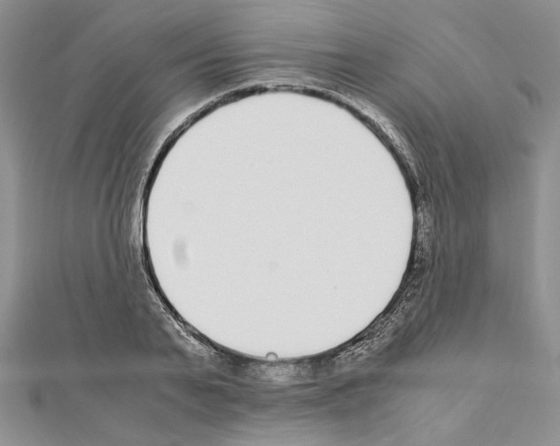 X0000111630791200908281133