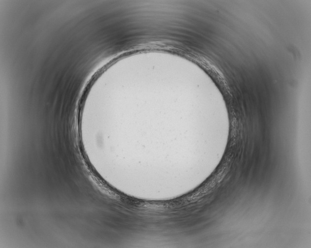 X0000111630792200908281133