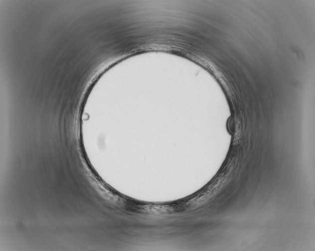 X0000111630795200908281133