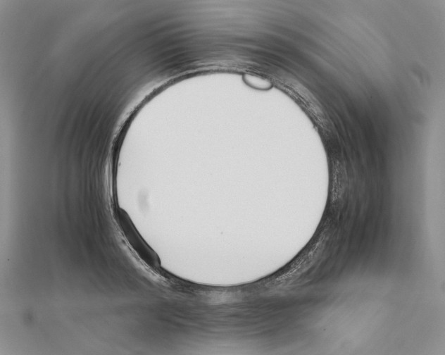 X0000111630796200908281133