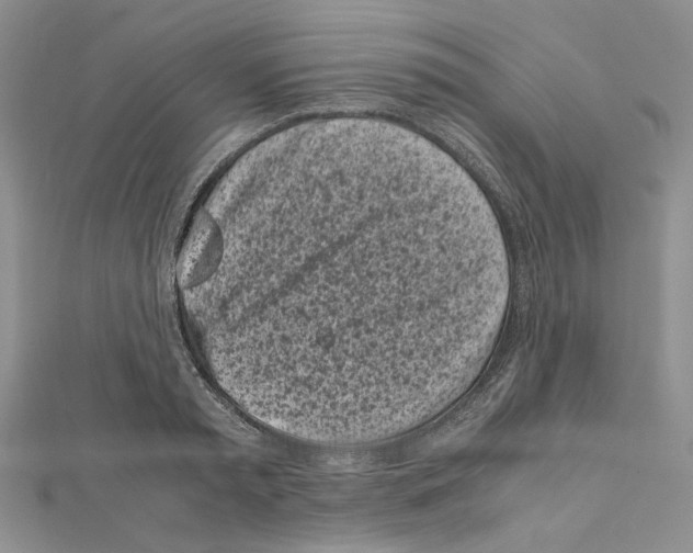 X0000111630797200908281133