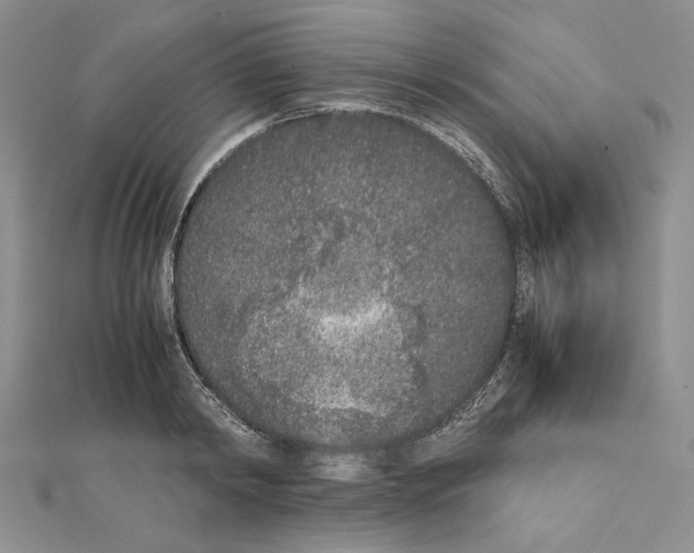 X0000111630798200908281133