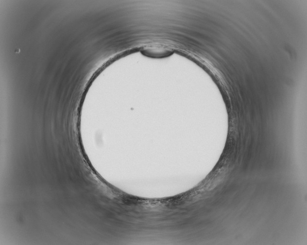 X0000111630799200908281133