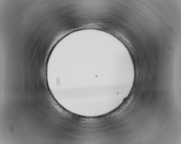X0000111630800200908281133