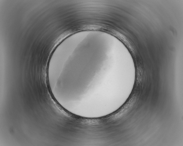 X0000111630802200908281133
