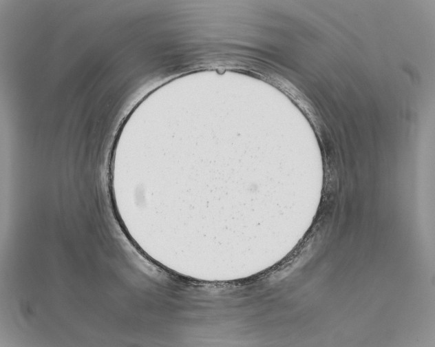 X0000111630803200908281133