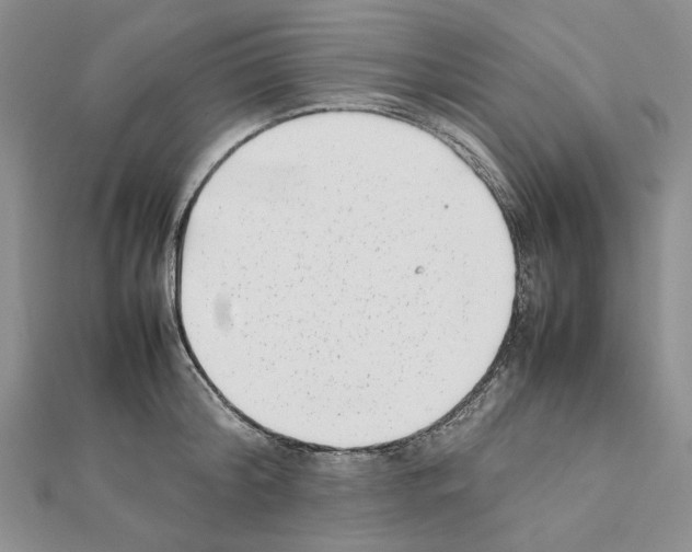 X0000111630804200908281133
