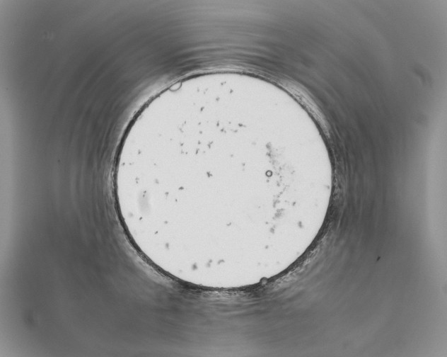 X0000111630805200908281133