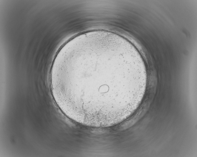 X0000111630807200908281133