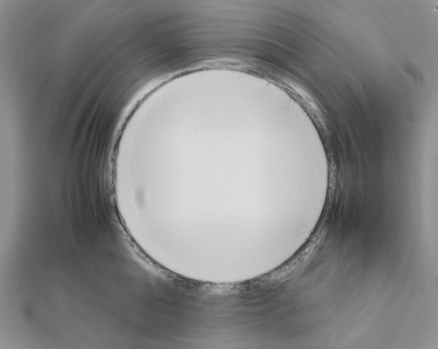 X0000111630808200908281133