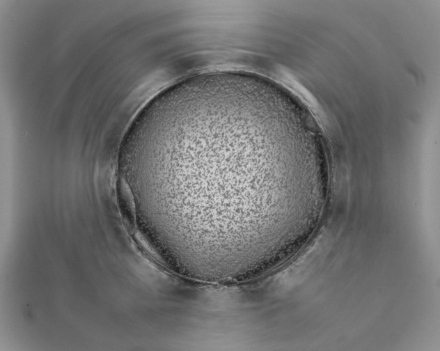 X0000111630809200908281133