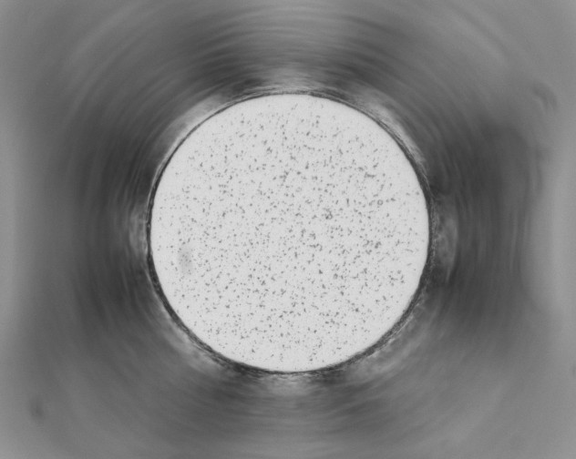 X0000111630810200908281133