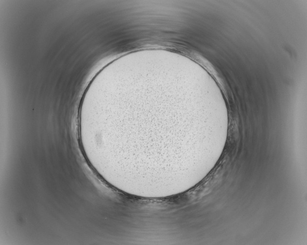 X0000111630811200908281133