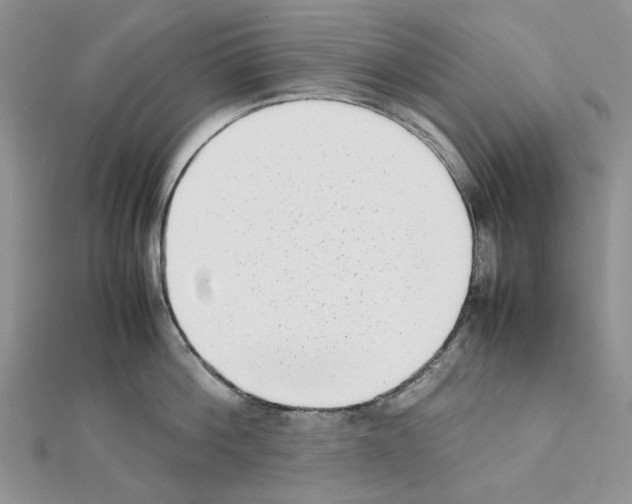 X0000111630812200908281133