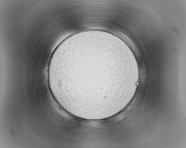 X0000111630814200908281133