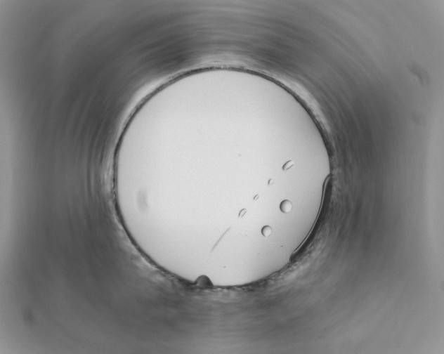 X0000111630815200908281133