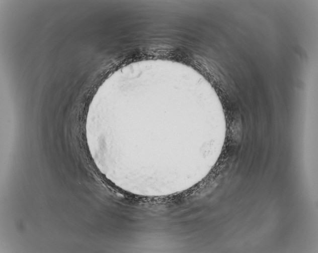 X0000111630817200908281132