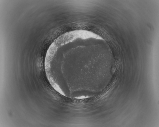 X0000111630818200908281132