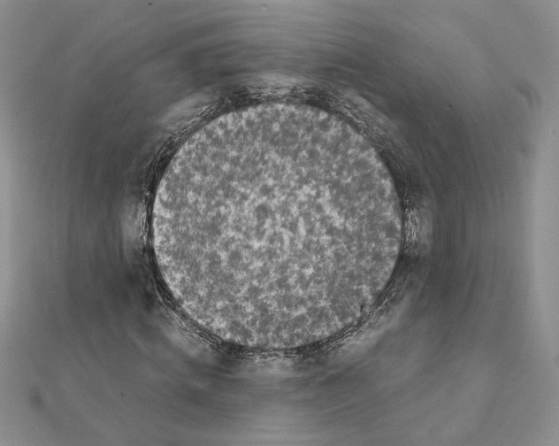X0000111630820200908281132
