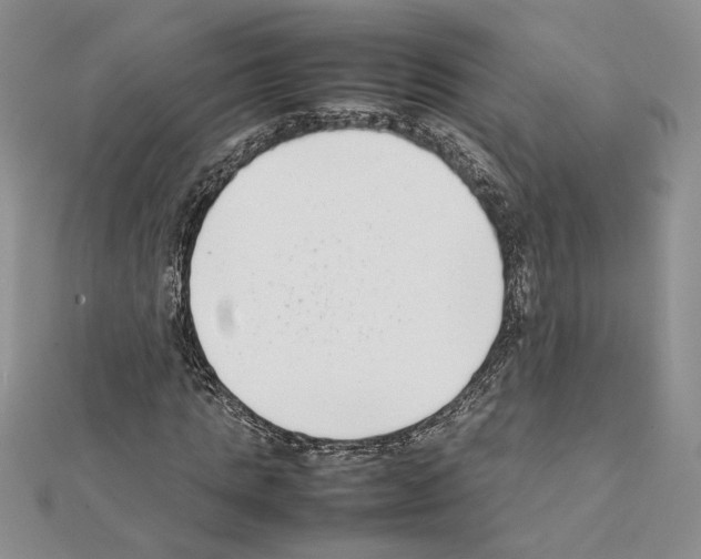 X0000111630821200908281132