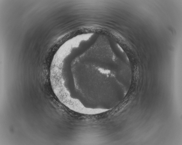 X0000111630822200908281132