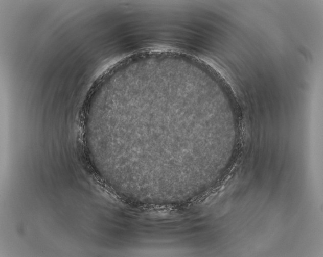 X0000111630823200908281132