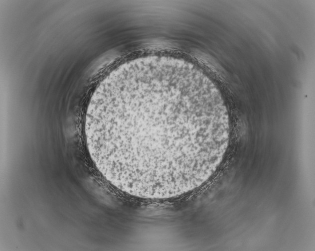 X0000111630824200908281132