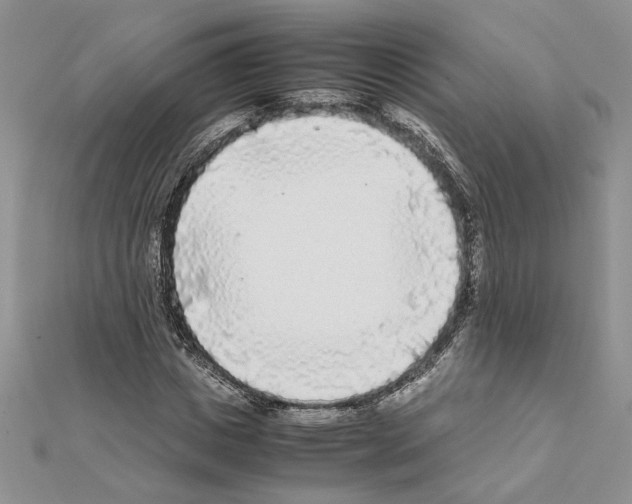 X0000111630825200908281132