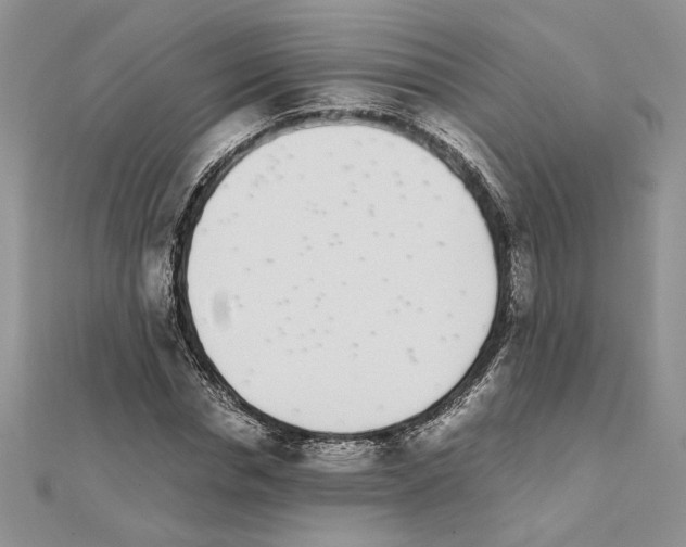 X0000111630826200908281132
