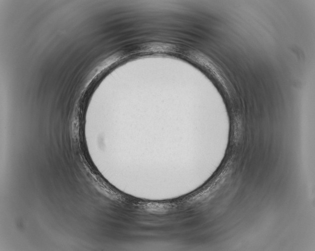 X0000111630827200908281132