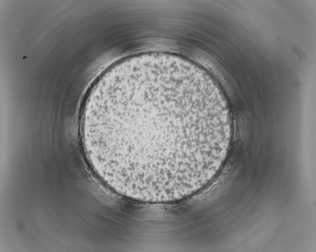 X0000111630828200908281132
