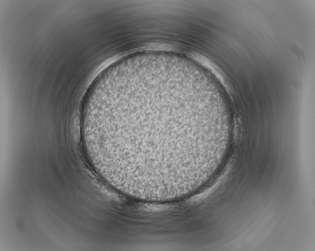 X0000111630829200908281132