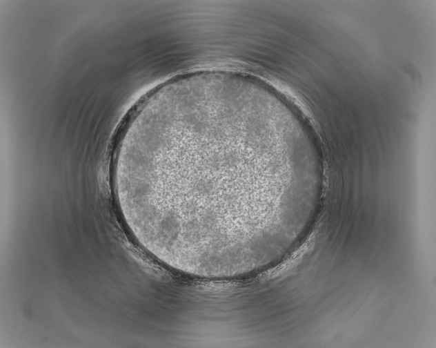 X0000111630830200908281132