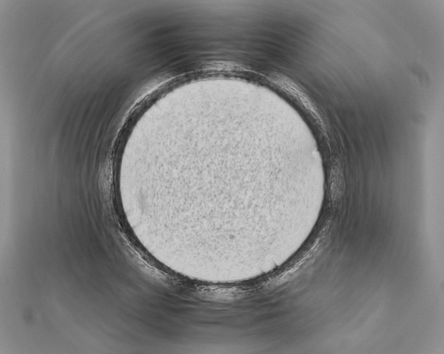 X0000111630831200908281132