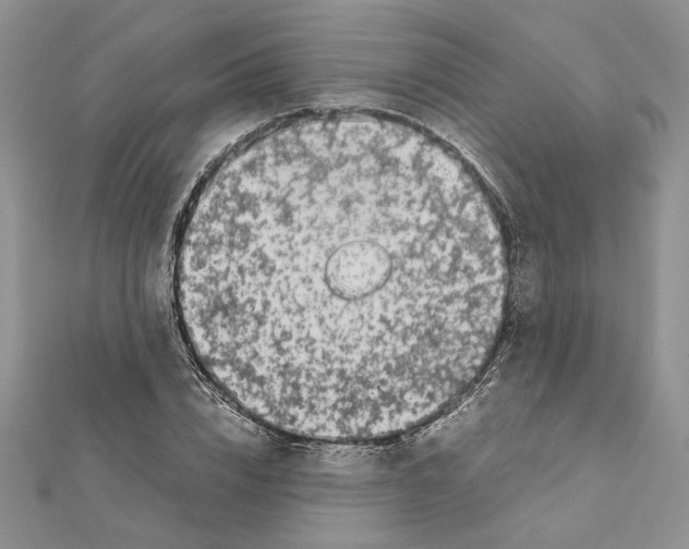 X0000111630832200908281132