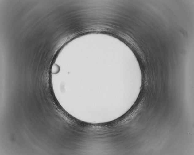 X0000111630834200908281132