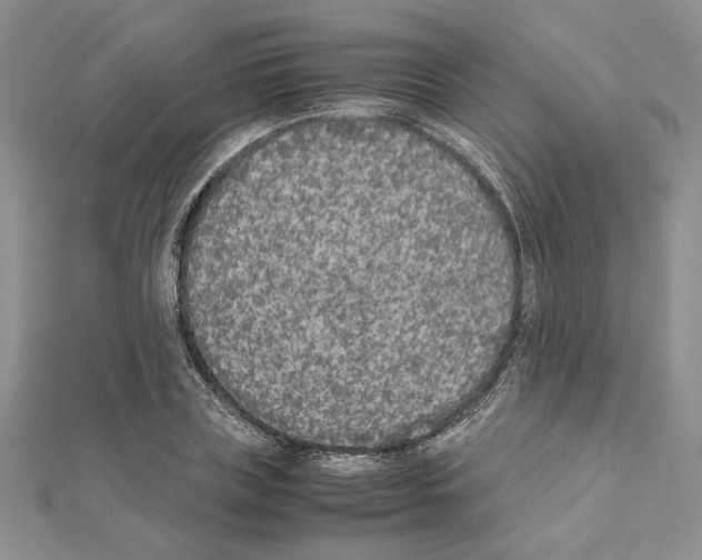 X0000111630835200908281132