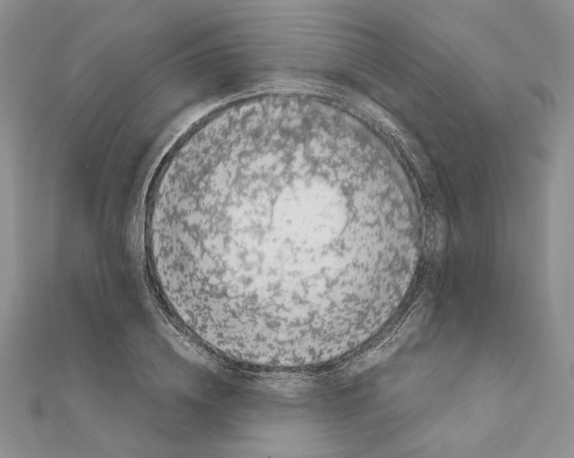 X0000111630836200908281132