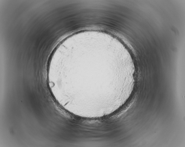 X0000111630837200908281132