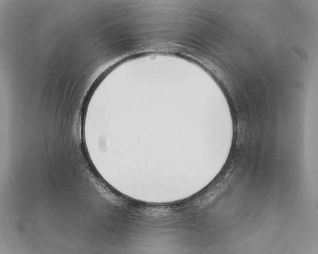 X0000111630838200908281132