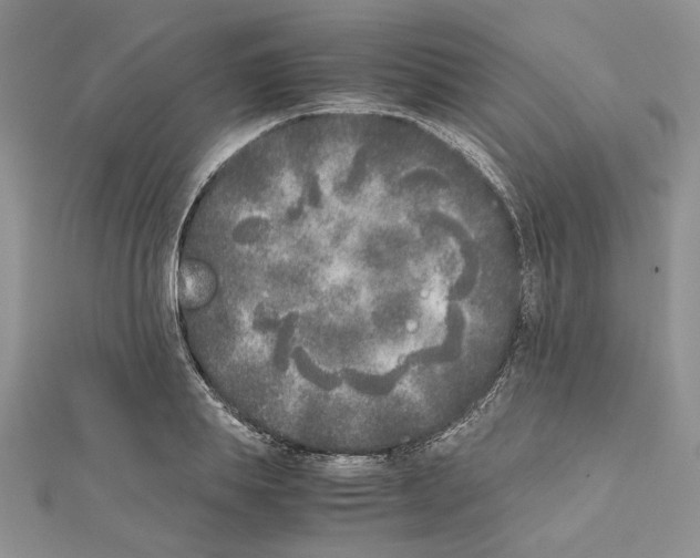 X0000111630839200908281132