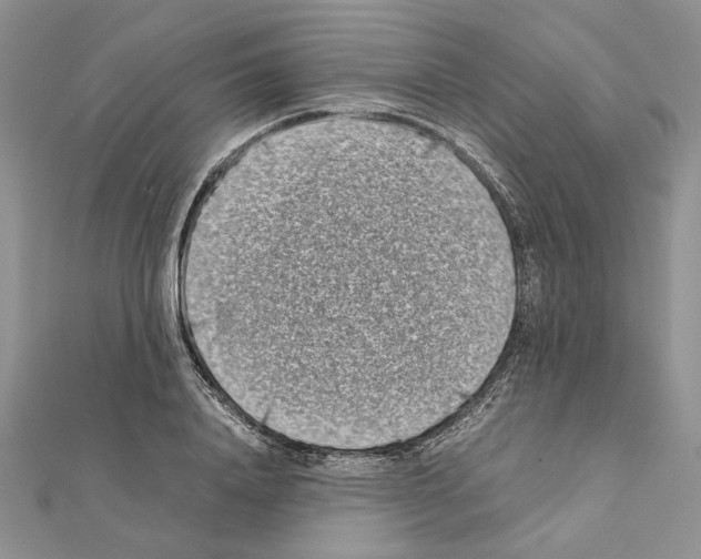 X0000111630840200908281132