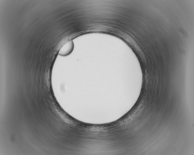 X0000111630842200908281132