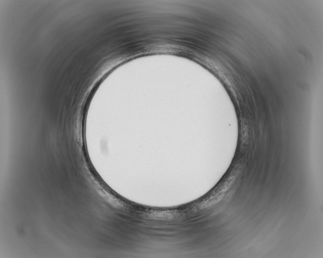 X0000111630843200908281132