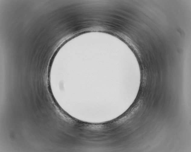 X0000111630845200908281132