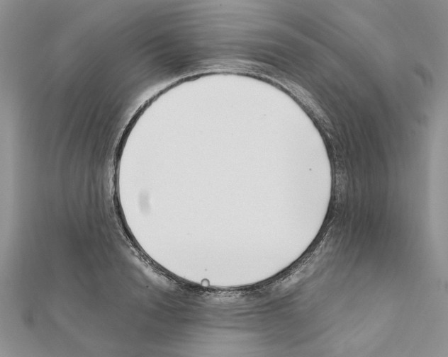 X0000111630846200908281132