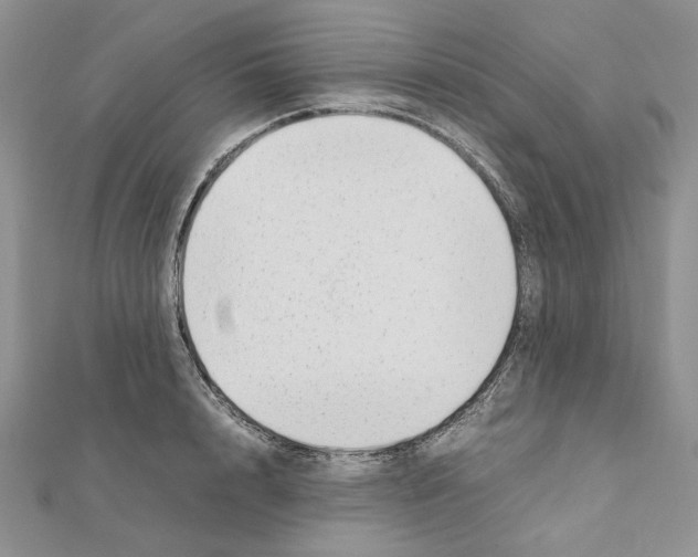 X0000111630848200908281133